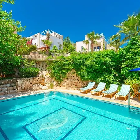 Sea View With Private Pool Rose Kalkan Id:406